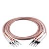 INRLEWGB One Pair of Speaker Wires with 2 Banana Plugs to 2 Banana Jacks(3000mm) view 1