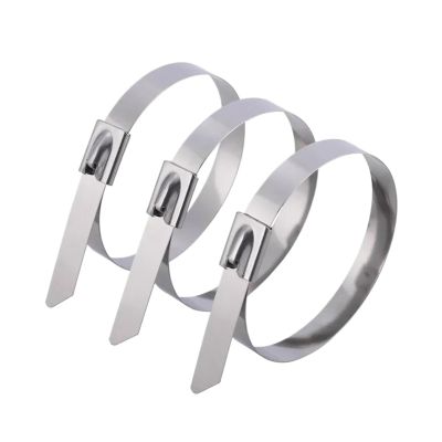 100pcs Stainless Steel Metal Heavy Duty Ties, Exhaust Wrap Coated Self-Locking Zip Ties(4.6x300mm)