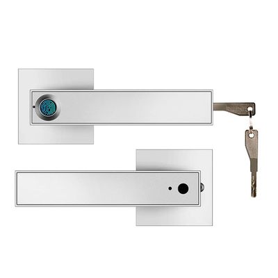 Electronic Smart Lock Semiconductor Fingerprint Handle Lock with Keys for Home Office Bedroom (Color : Silver) (Silver)