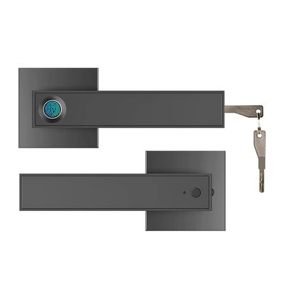 Electronic Smart Lock Semiconductor Fingerprint Handle Lock with Keys for Home Office Bedroom (Color : Silver) (Black)