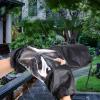 Mikikit Rain Cover Protector Camera Sleeve Window for Outdoor Photography Rainy Conditions view 3