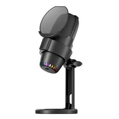 Walfront Dynamic Gaming Microphone USB RGB Microphone Computer Mic Kit Noise Cancellation PC Mic for Gaming/Meeting/Live Streaming/Audio Recording/Video (Black)