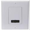 DH200 HDMI Single Wall Plate view 1