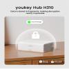 youkey Hub H310, No Monthly Fee, Surveillance Video Recording Hub with Advanced Encryption, AI Facial Recognition, Cross-Camera Tracking, 16GB Built-in Storage, 16TB Expandable, 2.4G WiFi/Ethernet view 2