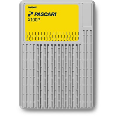 PASCARI Enterprise U.2 SSD 3840GB, XP106H013T84P024T0900