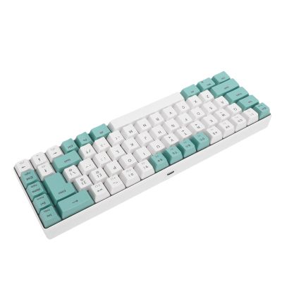 Diydeg Wired Keyboard, 68 Key Gaming Keyboard for PC Laptop (Green White Color Block)