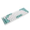 Diydeg Wired Keyboard, 68 Key Gaming Keyboard for PC Laptop (Green White Color Block) view 1