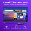 Roku Smart TV  24-Inch Select Series, 720p HD TV  Roku TV with Voice Remote  Flat Screen LED Television with Wi-Fi for Streaming Live Local News, Sports, Family Entertainment view 3