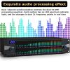 Dual Stereo Graphic Equalizer,31-Band Digital Equalizer,LED Spectrum Display with Automatic Noise Reduction for Recording Studio view 2