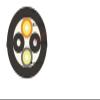 10m15m 30m 2/4 cores outdoor patch cord 7.0mm 2C 4C CPRI LC SC FC SM DVI waterproof FTTH jumper optical fiber armored 2 core(SC-FC,2 cores 10m 3pcs) view 2