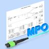 10Gtek MPO Cable, Compatible with NVIDIA MFP7E20-N005, OM4 MPO-12 APC (Female) to 2X MPO-12 APC (Female) MMF Breakout Fiber Cable, Type B LSZH, 5-Meter view 3