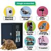 Sintron ST-004 110V Ethernet Edition LCD Upgrade Coin & Mobile Payment for Apple Pay Paypal Operated Timer Control Power Box for Vending Machine, Gaming Machines, Shoe Polisher, Washing Machines view 3