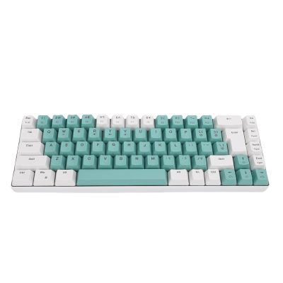 Asixxsix Wired Keyboard, Comfortable Typing Ergonomic Computer Keyboard with RGB Backlit, 60% 68 Key Gaming Keyboard for Office PC Laptop, Anti Ghosting and Multimedia Keys (White Green Color Block)