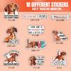 10pcs Red Dachshund Sticker Sheet, Funny Vinyl Decals for Wiener Dog Lovers, Pet Owners, Animal Lover, Waterproof, UV-Resistant, for Laptop, Water Bottle, Journal, Notebook, Phone Case, Scrapbook view 2