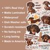 10pcs Chocolate Dachshund Sticker Sheet, Cute Vinyl Decals for Wiener Dog Lovers, Pet Owners, Animal Lover, Waterproof, UV-Resistant, for Laptop, Water Bottle, Journal, Notebook, Phone Case view 4