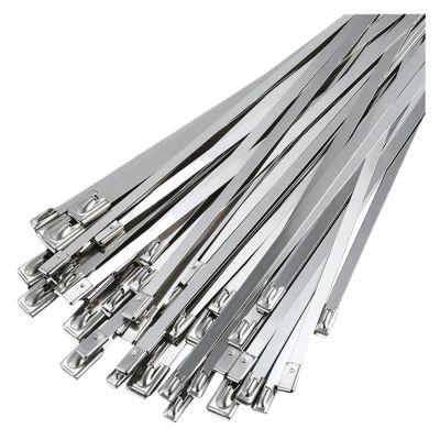 100 PCS Stainless Steel Metal Cable Ties, Exhaust Wrap Coated Locking Metal Locking Tape(4.6x100mm)