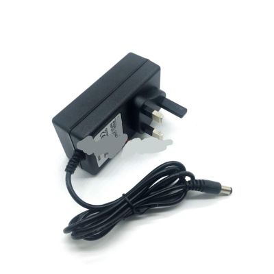 25V 1A 450mA Charger Adapter Power Adapter 100-240V 50 / 60Hz(UK)