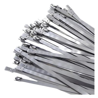 100 PCS Stainless Steel Cable Ties, Reusable Self-Locking Multi-Purpose Metal Cable Organizers(4.6x400mm)