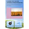 1080P Digital Camera for Photography, 48MP Vlog Selfie Camera with 2.4" Screen, Dual Lens Autofocus Point and Shoot Cameras for Beginner (Roseate) view 3