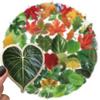 50PCS Green Leaf Transparent Stickers for Scrapbook Laptop Water Bottle Journaling Notebooks Helmet Skateboard Phone Cases,Nature Greenery Plant Aesthetic Waterproof Decals for Teens Kids Adults view 2