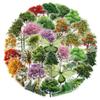 Greenery Plant Stickers 50PCS for Teens Kids Adults,Cartoon Transparent Green Plants Waterproof Sticker Decoration Laptop Scrapbook Water Bottle Notebook Phone Car Refrigerator Journal Skateboard view 1