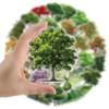 Greenery Plant Stickers 50PCS for Teens Kids Adults,Cartoon Transparent Green Plants Waterproof Sticker Decoration Laptop Scrapbook Water Bottle Notebook Phone Car Refrigerator Journal Skateboard view 3