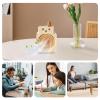 Water Mister Fan,3-speed Cool Air Fan | Spray Hydration Humidifier USB Charging Compact for Outdoor Kitchen Truck Greenhouse Construction Beach Car Bathroom Camping view 4