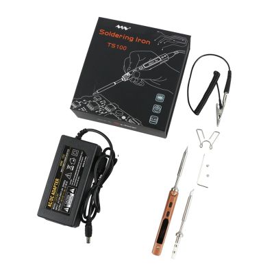 ACE4U Mini TS100 Digital Electric USB Smart Adjustable Soldering Iron Set 65W LCD Programmable + Power Supply + 2 Solder Iron Tips(TS-D24 TS-BC2)