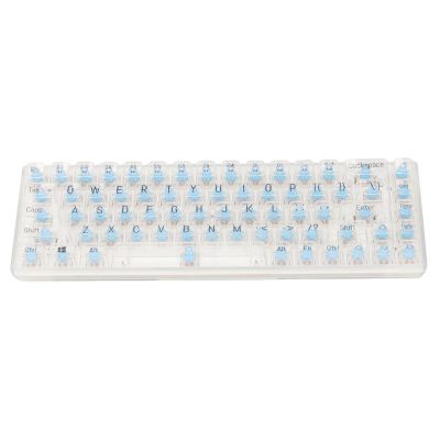 EBTOOLS 68 Keys Mechanical Gaming Keyboard Wired, RGB Backlit, 60% Hot Swappable Blue Switch, Anti Ghosting, ABS Transparent Keycaps, for Desktop Computers, PC, and Laptops