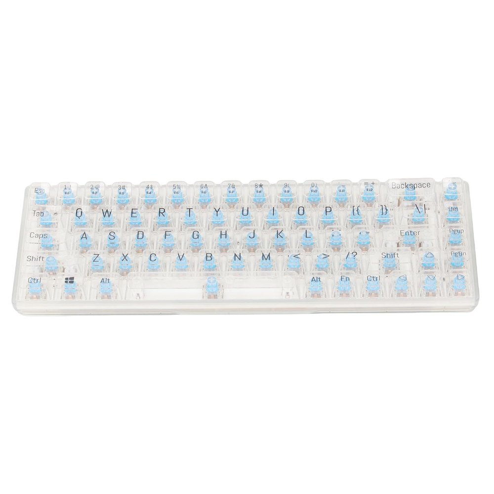 EBTOOLS 68 Keys Mechanical Gaming Keyboard Wired, RGB Backlit, 60% Hot Swappable Blue Switch, Anti Ghosting, ABS Transparent Keycaps, for Desktop Computers, PC, and Laptops