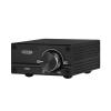 Mini 100W Subwoofer/Full Range Power Amplifier Mono Audio TPA3116D2 Amplifier view 1