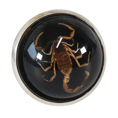 jiingekk Stylish Round Scorpion Rings Adjsuatble Opening Rings Resin Statement Piece Unique Finger Jewellery Trendy Couple Gift