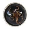 jiingekk Stylish Round Scorpion Rings Adjsuatble Opening Rings Resin Statement Piece Unique Finger Jewellery Trendy Couple Gift view 1