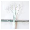 HUIZHUGS Wire and Cable Transparent Wire Multi-core Copper 4core Pendant Lamp Cable PVC Sheathed Round DIY Crystal Lamp Wire Power Cord Wire and Cable(OD 6.16mm 120W) view 3