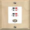 RiteAV 2 Port Speaker Wire Plug Jack Wall Plate with 1 RCA for Subwoofer - 1 Gang Decorative [Wood/White] view 1