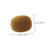 Ciieeo 1set Lifelike Kiwifruit Model Decorative Props for Photography Creative Fruit Decorations for Early Childhood Teaching and Unique Photo Styling 4pcs view 2