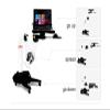 ADBWEKKF 01 Full Motion Long Arm Multifunctional Moving Laptop Desk Sofa Bedside Notebook Stand Lazy Lift Rotating Computer Table view 4