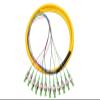 12-Core FC/A Optical Pigtail Bundle 1.5m SM Fiber Optic Cable view 2