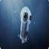 Insta360 X5 Invisible Dive Case- Waterproof Up to 60m (197ft) view 2