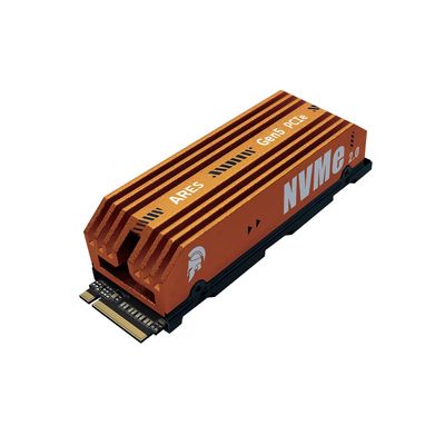 DATO SSD 4TB Gen5 M.2 SSD with Heatsink PCIe 5.0 x4 Internal Solid State Drive Up to 12,000MB/s Read, 10,000MB/s Write HighSpeed, Durable, Easy Install, PCIe 5.0 M.2 Slot- ARES Aethon