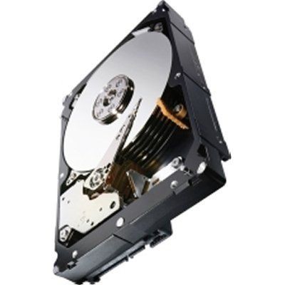 2TB SAS 6GB S Enterprise Storage 7200RPM 128M Cache Bare