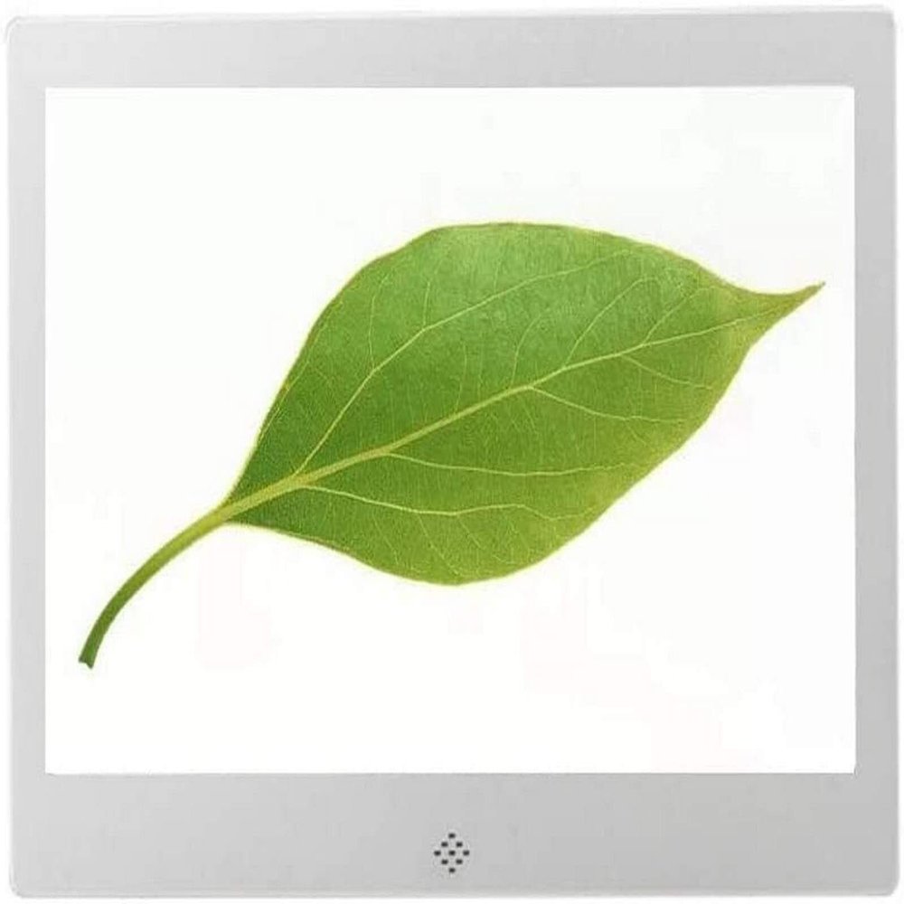 10" Digital Photo Frame with Video Player, Remote Control, USB/SD/TF Support, Music & Clock