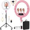 22" Foldable Ring Light with Stand for iPhone ipad, 75" Tripod with Wheels 50W 6500K LED Display/2 USB Ports Large Ringlight Rolling, Tattoo Barber Makeup Studio Video Photography Lighting(Pink) view 1