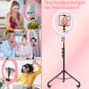 22" Foldable Ring Light with Stand for iPhone ipad, 75" Tripod with Wheels 50W 6500K LED Display/2 USB Ports Large Ringlight Rolling, Tattoo Barber Makeup Studio Video Photography Lighting(Pink) view 2