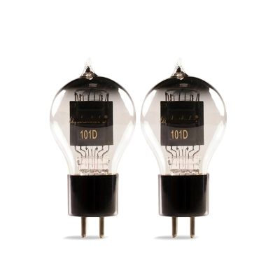 PHTJALIF 101D Vacuum Tube Audio Valve DIY Amplifier Kit(2 pcs)