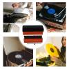 VILLCASE 1Set Vinyl Record Player Cleaning Kit Set with Brushes Turntable Cleaning Brush and Dust for Deep Cleaning CD and Record Players view 3