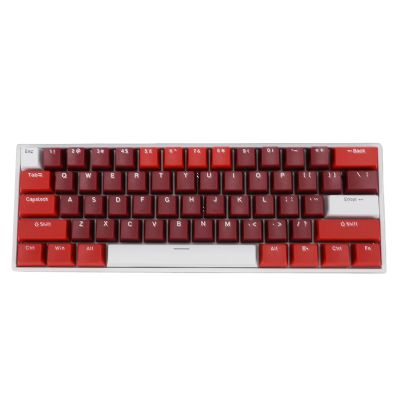 Dam Skerisi 61 Key Mechanical Keyboard, 60% Compact Design, Blue Switch, RGB Backlit, Hot Swappable, Ergonomic, USB Wired for Gaming and Office