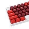 Dam Skerisi 61 Key Mechanical Keyboard, 60% Compact Design, Blue Switch, RGB Backlit, Hot Swappable, Ergonomic, USB Wired for Gaming and Office view 3
