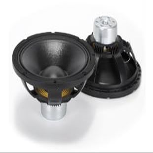 1000W Neodymium Speakers