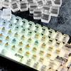 FunHub White Transparent Keycaps,Clear Plastic Key Caps Cherry Profile RGB Backlit Shine Through Costum 115 Keys Set for 60 65 75 100 Percent Full Size for MX Switches Mechanical Gaming Keyboard view 4